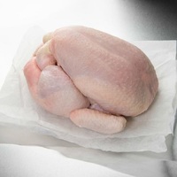 Poulet Congelé de Haute Qualité en Gros à Prix Abordable, Poulet Entier et Pièces Congelées Halal, Poulet Entier Congelé Premium Halal