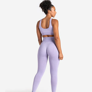 Conjunto Deportivo de 2 Piezas de Alta Calidad Personalizado para Gimnasio, Yoga, Running, Transpirable, Top Corto, Ropa de Verano, Sujetadores Deportivos para Mujer - Product Image 4