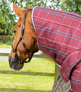 Mantas Personalizadas para Caballos 2026, Premium, Duraderas, Impermeables, Transpirables, Diseño Personalizado, Mantas de Equitación - Product Image 3