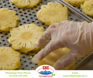 Textura masticable de Mango Seco de Vietnam de alta calidad y bocadillo saludable de sabor tropical empacado para supermercados y distribuidores - Product Image 5