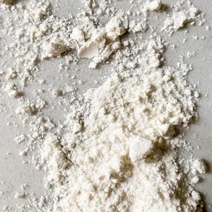 Poudre d'extrait de vanille de marque privée OEM au meilleur prix, poudre de vanille pour crème glacée, poudre de vanille alimentaire - Product Image 1