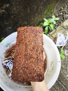 Approvisionnement direct usine : Poudre de tourbe de coco compressée sur mesure, écologique pour la culture - Mme Tarina - Product Image 2