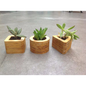 Pots à plantes en bois modernes faits à la main, pots à fleurs géométriques uniques en bois pour bureau et décoration intérieure à prix abordable - Product Image 1