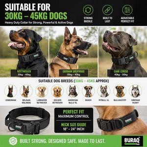 Tactical Dog <b>Collar</b> Heavy Duty Buckle OEM ODM Custom Logo Adjustable Dog <b>Collar</b> Direct Manufacturer - Product Image 6