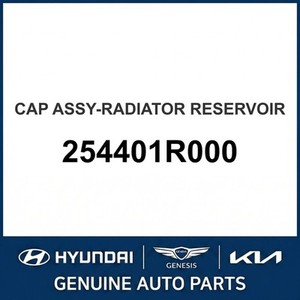 Radiadores Nuevos Accent 254401R000 - Product Image 1