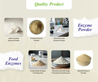 Poudre d'enzyme Xylanase 98% de pureté Fabriquée en Inde Ansel Biotech
