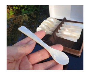 Customized White Mother of Pearl Spoon Natural Shell Caviar Spoon Fine Dining Dessert Seashell Spoon Direct Factory Supply - Product Image 1