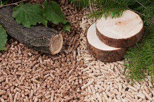 Vietnam Manufactured Wood Pellets Export Grade Premium Quality OEM Supply Trusted Biomass Partner - Product Image 6