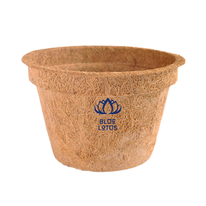 Maceta de Fibra de Coco de Calidad de Exportación, Biodegradable, para Plántulas, BLUE LOTUS VIETNAM 2026 - Product Image 1