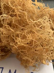 Grossiste et revendeur vietnamien de mousse de mer séchée aromatisée de qualité supérieure en sachet, 2024 - Product Image 2