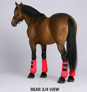Bottes de protection équestres en néoprène pour chevaux, durables, absorbant les chocs, respirantes, soutien des jambes, protection, OEM personnalisé - Product Image 5