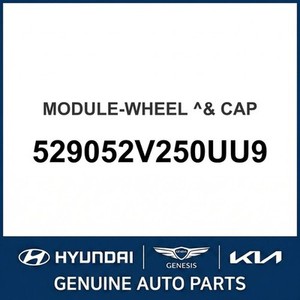 Nouvelles enjolives de roue Veloster 529052V250UU9 - Product Image 1