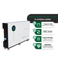 Batterie lithium-ion 400Ah 20kWh, batterie Lifepo4 mobile haute capacité 51.2V 400Ah, batteries lithium-ion pour stockage d'énergie