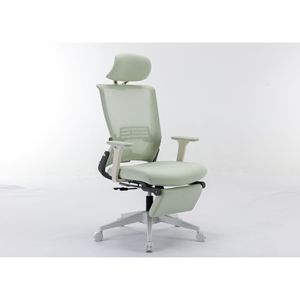 Sedia Ergonomica da Ufficio per Casa con Supporto Lombare Regolabile in Altezza, Poggiatesta e Braccioli Ribaltabili, Seduta di Alta Qualità - Product Image 1