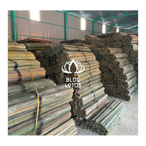 PALO DE BAMBÚ RECTO DE VIETNAM MÁS VENDIDO, MITAD RECTA, MITAD REDONDA - Product Image 6