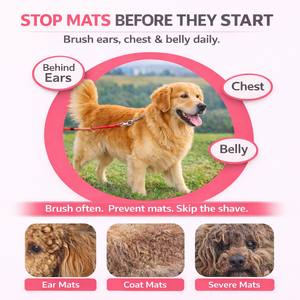 Hot Selling Wholesale Stainless Steel Pet <b>Grooming</b> <b>Dog</b> Cat Comb Slicker Brush Deshedding Massaging <b>Tool</b> DC-1709 Custom Brand OEM - Product Image 3