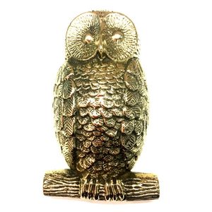 Premium Polished Brass Fox <b>Door</b> Knocker Antique <b>Rustic</b> Design 96mm for Home and Office Entrance <b>Doors</b> by Dhanvi Export - Product Image 3