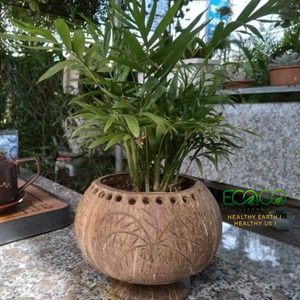 Maceta Hecha a Mano con Cáscara de Coco |   Maceta de Flores Natural para Suculentas, Hierbas y Decoración de Jardín Interior y Exterior |   Eco2go Vietnam - Product Image 3