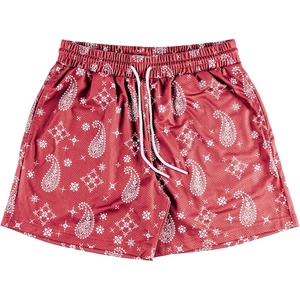 Shorts de sport respirants pour homme, style basket, en maille paisley, légers, pour l'été - Product Image 2