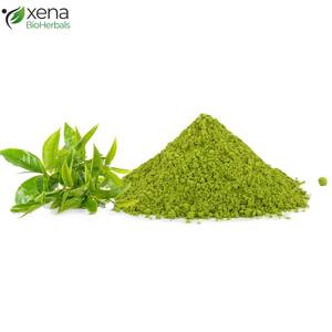 Fabricante Confiable de Extracto Soluble de Hoja de Té Verde, Extracto Vegetal Premium OEM - Product Image 1