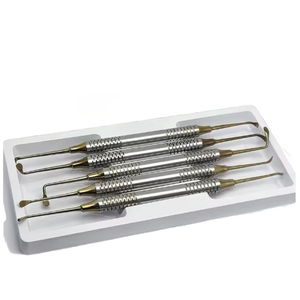 Kit de 5 instruments dentaires de haute qualité pour composites, plaqué or, pour restaurations, avec plateau de rangement - Product Image 4
