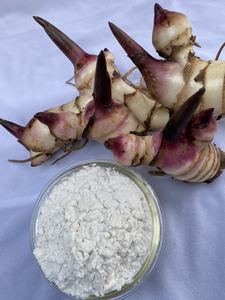 Almidón de Arrowroot Natural de Primera Calidad a Buen Precio, Hecho en Vietnam - Product Image 3