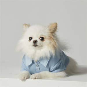 ODM Plain Design recyclé Polyester Chien T-shirts Vêtements pour animaux de compagnie - Product Image 6