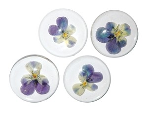 Cabujón de Plástico con Espécimen Real de Heartsease, Redondo, 38x38 mm, Base Plana Transparente, para Manualidades y Joyería - Product Image 5
