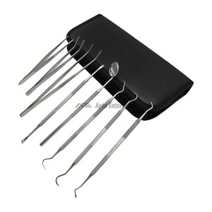 Kit de Limpieza Dental, Herramientas Dentales Profesionales Manuales de Acero Inoxidable, Raspador de Dientes, Removedor de Sarro y Placa - Product Image 6