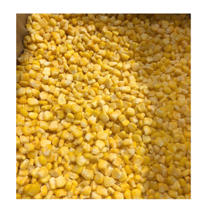 Producto Vegetal de Maíz Congelado Premium para Importadores, Mayoristas y Distribuidores - Product Image 1