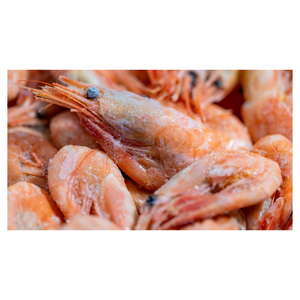 Camarones Congelados Estándar de Exportación para Mercados de Mariscos, Supermercados y Empresas de Distribución Mayorista a Nivel Mundial - Product Image 5