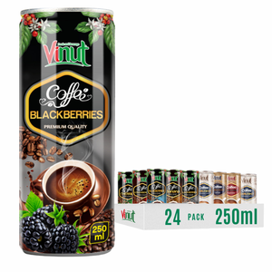 เครื่องดื่มกาแฟอาราบิก้าบดละเอียด 250 มล. กระป๋องอะลูมิเนียม ปราศจาก GMO ปราศจากนม ปราศจากกลูเตน VINUT บอร์กซ์ 12 อายุการเก็บรักษา 24 เดือน ขายส่ง - Product Image 1