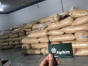 Venta al por Mayor de Nueces de Anacardo Crudas 100% Naturales de Vietnam, Alta Calidad, Precio Competitivo, W320 W240 W180 LP SP, Suministro Estable, Calidad Superior - Product Image 5