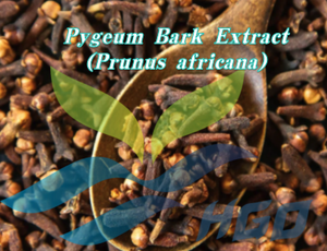 Suministro Directo de Fábrica HGO de Extracto Puro de Corteza de Pygeum (Prunus africana) Grado Alimenticio, Fitosteroles Totales 13% Extracto Estandarizado - Product Image 2