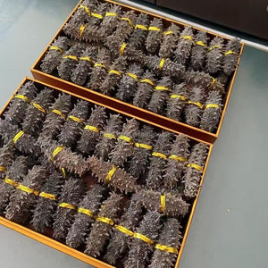 Pepino de Mar Negro de Alta Pureza / 98% Seco para Larga Duración, Suministro a Granel, Calidad de Exportación, Grado Mariscos - Product Image 4