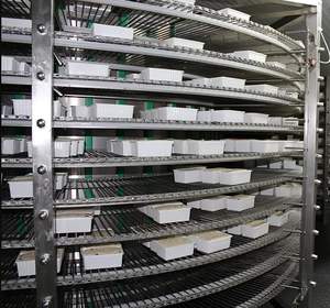 Congeladores en espiral industriales IQF para MARISCOS | Verduras | Congelación de carne: 200 kg a 6000 Kg Capacidad: SS Engineers - Product Image 3