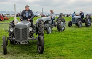 Tracteur Massey Ferguson 290 285 à vendre pour l'agriculture - Product Image 6