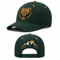 Gorra de Béisbol Personalizada con Bordado 3D, Parches Delanteros y Traseros, Ajustable con Cierre a Presión, para Deportes al Aire Libre, Venta al Por Mayor, Personalizable