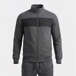 Veste de survêtement grise pour homme avec fermeture éclair intégrale, design color block, col montant, vêtements de sport décontractés, tenue d'automne - Product Image 1