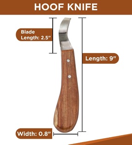 Hoof Knife Sharp <b>Cutting</b> <b>Wooden</b> Handle Farriers <b>Tools</b> Stainless Steel Hoof Knives Customized Hoof Knifes Hoof Care <b>Tools</b> - Product Image 3