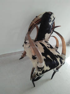 Silla Viking Valor de Cuerno de Buey Rústico - Material Orgánico Ecológico, Forma Natural, Estilo Animal Pulido, Decoración Artesanal para el Hogar - Product Image 6