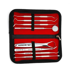 Herramientas Profesionales de Higiene Dental de Acero Inoxidable de Alta Calidad para una Eliminación Efectiva de la Placa y Limpieza de Sarro, Cuidado Bucal - Product Image 2
