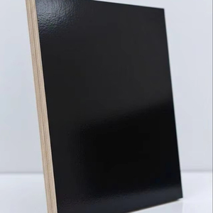 Panneaux de contreplaqué filmé en bois d'hévéa et eucalyptus, modernes, première qualité, poncés des deux côtés, haute qualité, fournisseur en gros - Product Image 1