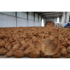 Premium <b>Fresh</b> Export Quality <b>Semi</b> <b>Husked</b> <b>Coconut</b> From Indonesia Food Storage and Container - Product Image 6