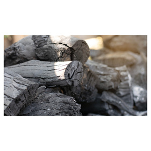 Approvisionnement en charbon de bois dur en vrac pour les marchés internationaux avec une qualité constante et une capacité de production fiable - Product Image 5