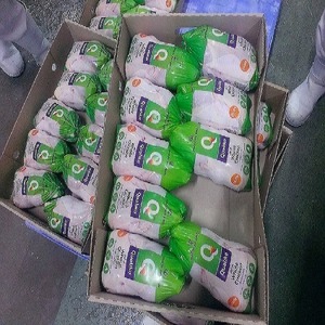 Pollo Entero Halal Congelado de Alta Calidad para Exportación |   Carne de Aves de Corral Procesada y Limpia |   Proveedor de Pollo Congelado Fresco de Primera Calidad - Product Image 2