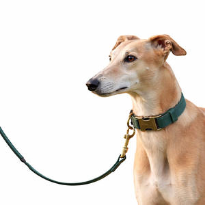 Collar de Cuero Puro de Lujo 2026, Nuevo Diseño, Patrón Sólido con Hebilla Automática, Estilo Simple, Collar de Entrenamiento para Perros - Product Image 4