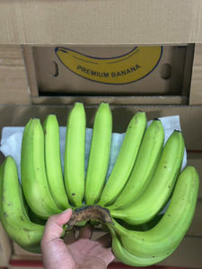 Plátanos Cavendish de Vietnam Sabor dulce Piel verde Embalado Estándar de calidad de exportación fresca - Product Image 2