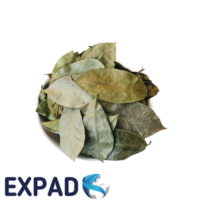 Premium herbal dried soursop leaves with no preservatives, directly harvested and dried in Vietnam, ideal for tea brands - Product Image 3
