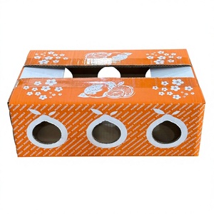 Caja de Cartón Corrugado Resistente, Ecológica y Hecha con Materiales Reciclados, para Fruta Fresca de Pomelo |   Exportación Agrícola - Product Image 1